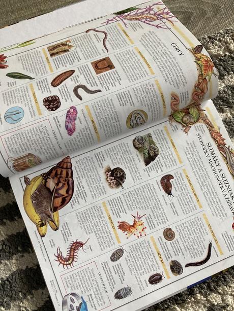 Svet prírody ottova ilustrovaná encyklopédia(2013), 