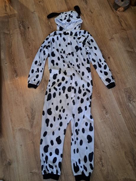 Kostým na karneval, 