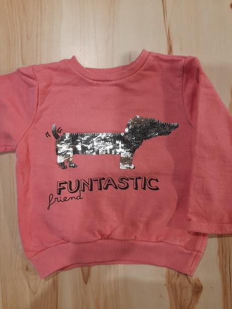 Mikina so psikom, pepco,98