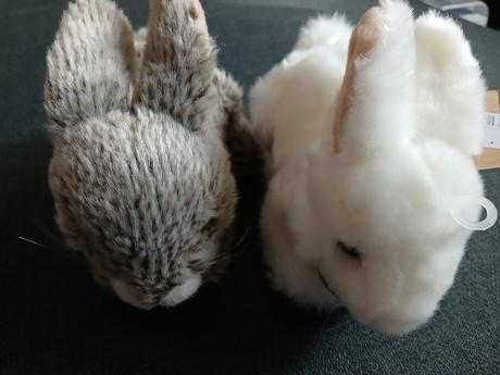 Plysovy zajacikovia rappa, 