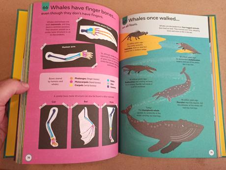 Usborne 100 things to know about science, 