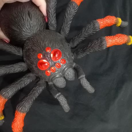 Tarantula,