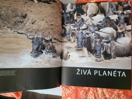Veľký ilustrovaný atlas zvierat, nova, 