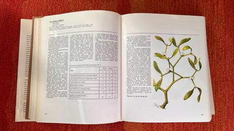 Atlas liečivých rastlín a lesných plodov - r. 1977, 