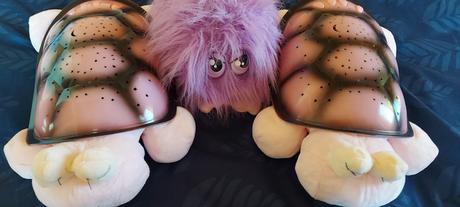 Svietiaca a hrajuca korytnacka, 