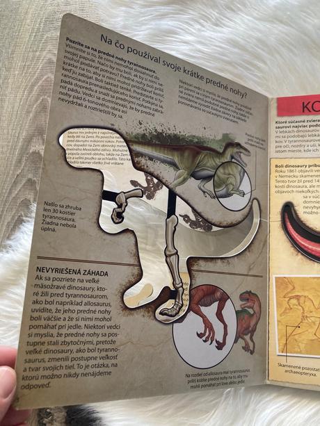 Pozrite sa do útrob dinosaura tyrannosaura,
