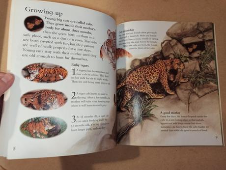 My best book of big cats zositkova, 