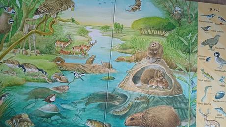 Prvé obrázkové knižky a hra, 