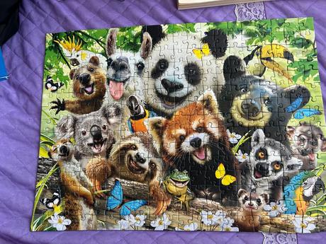 Puzzle 300,