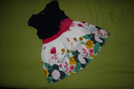 Letne satocky nutmeg, nutmeg,98