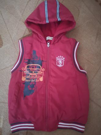 Vesta prechodná, forest,110