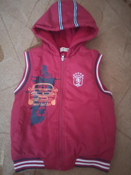 Vesta prechodná, forest,110