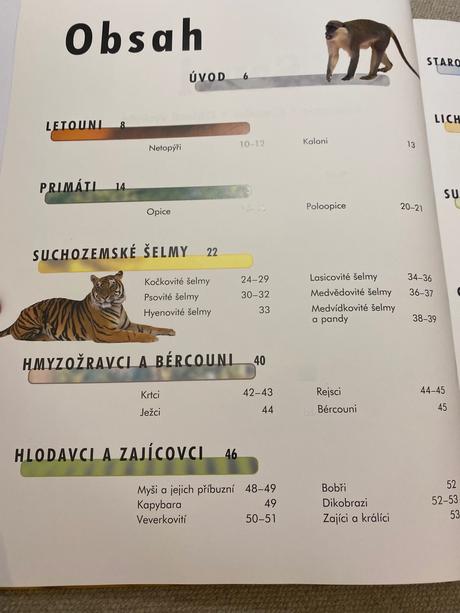 Savci vědomosti v kostce anatomie chování oblasti, 