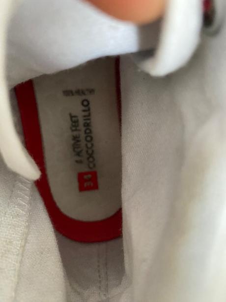 Detské tenisky, coccodrillo,34