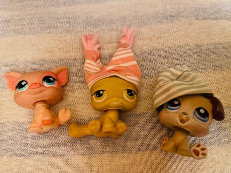 The littlest pet shop,