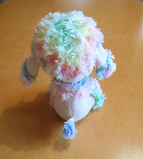 Dúhový pudlík ty s veľkými očami,