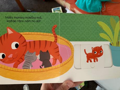 Dobrý deň mačiatko svojtka, 