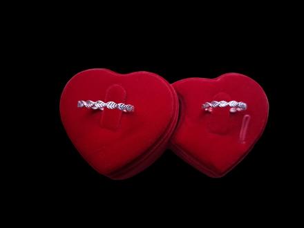 Strieborný prsteň listy,