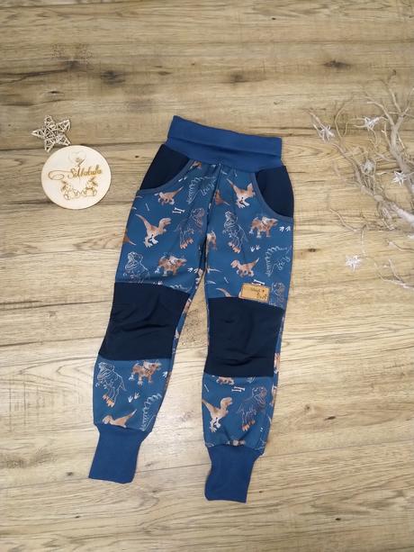 Softshell nohavice dinosaury + modrá, 98