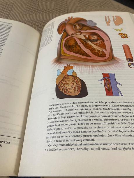 Obrovská stará retro kniha zdravoveda osveta 1980, 