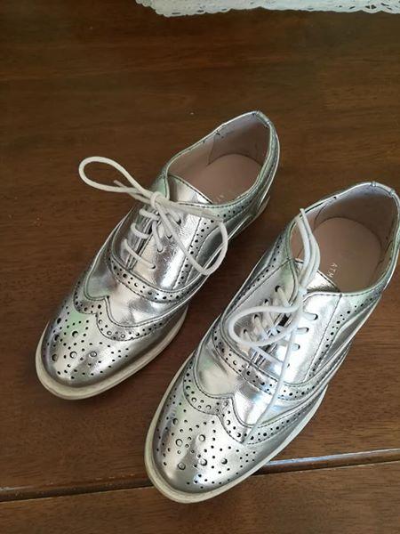 Strieborne polobotky, 37