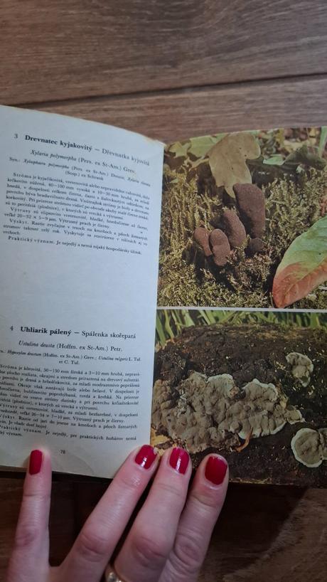 Atlas našich húb, 
