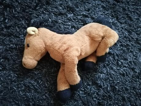 .plyšák koník, 