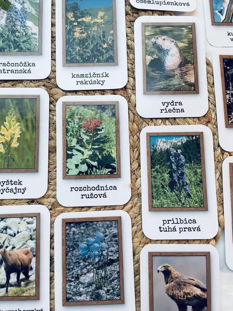 Flóra a fauna vo vysokých tatrách, 