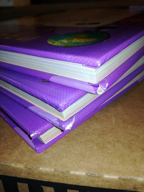 Toddler hide and seek,