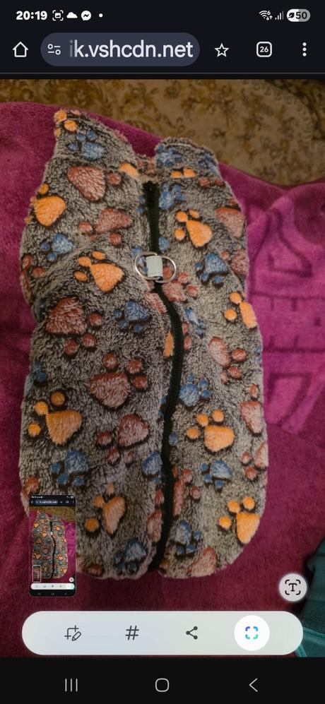 Bunfička  pre psa40cm, 