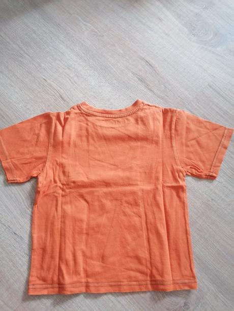 Tričko s dinosaurami, 104