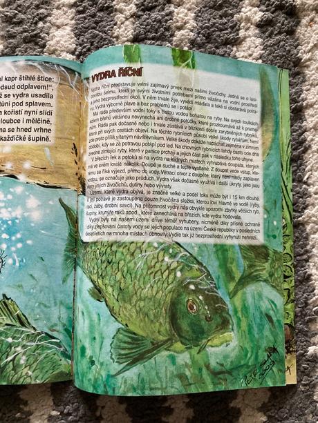 Brožované knižky, 