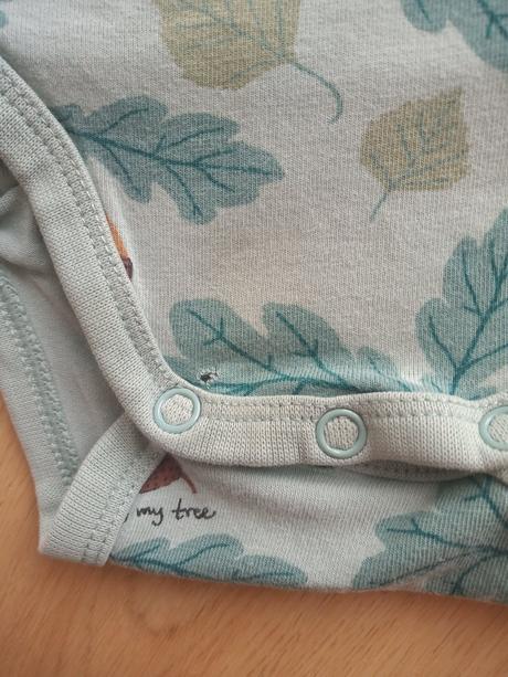 Body lindex žalude, lindex,80