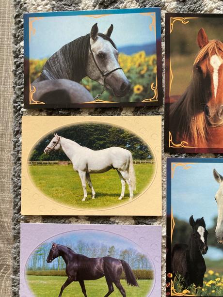 Pohľadnice koní nepopísané 10ks,