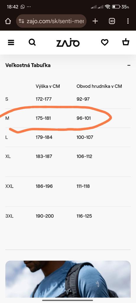 Pánske  termo merino tricko, zajo,m