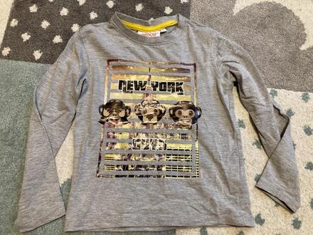 Tričko s opicami, 110