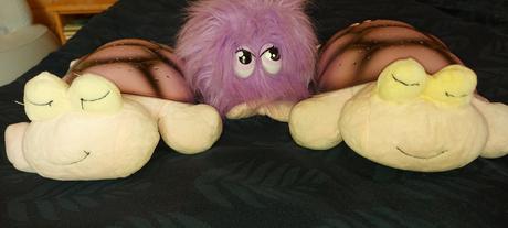 Svietiaca a hrajuca korytnacka, 