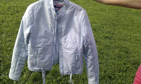 Bledomodrá vetrovka, m