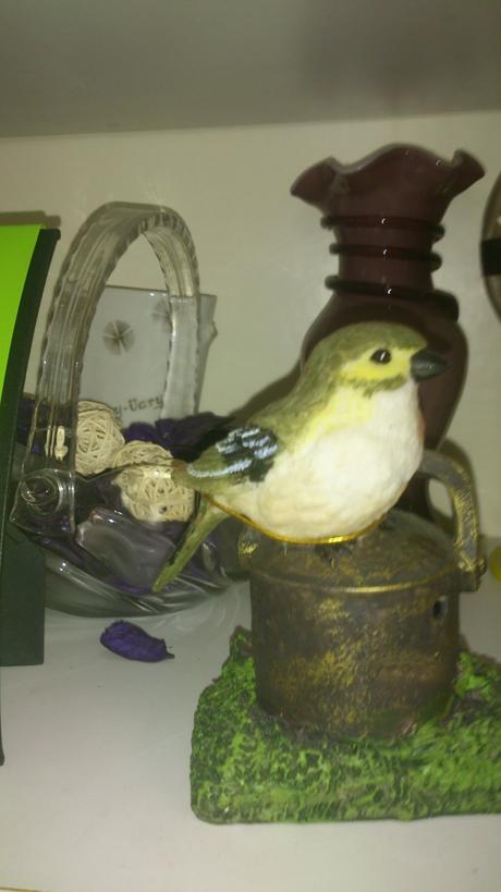 Vtáčik na baterky, 