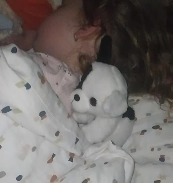 Hľadá sa plyšový psík Cilka, ktorého sme zabudli na ihrisku