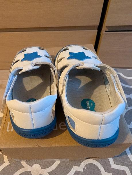 Little blue lamb 21, little blue lamb,21