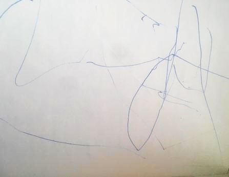 Smelý zajko v afrike,