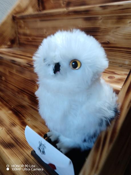 Sova harryho potera, 