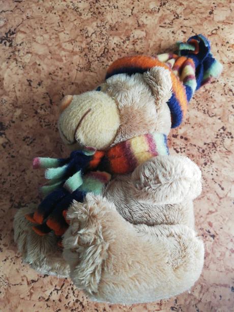 Plyšáčik s čiapkou, 