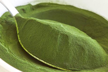 Chlorella, 