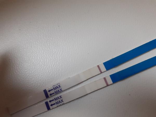 Mám na teste ducha, ktorý nesilnie