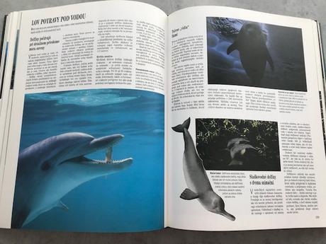 Súkromie živočíchov,