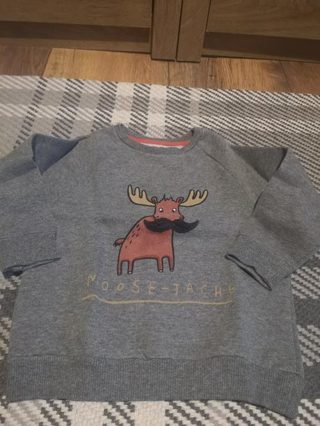 Chlapčenské mikinky značky next, next,92