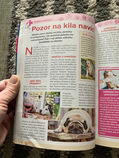 425 skvělých tipů, jak si vybrat nejlepšího pejska, 