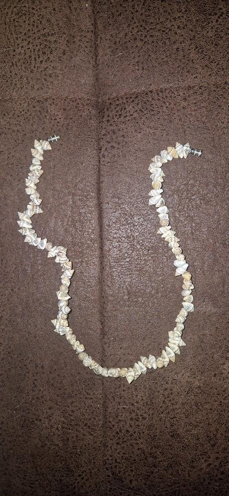 Náhrdelník z mušlí, 